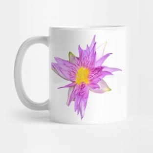 Water Lily - King of Siam Mug